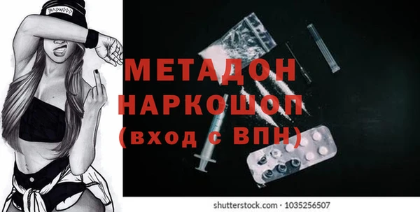 индика Арсеньев