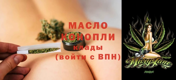 индика Арсеньев
