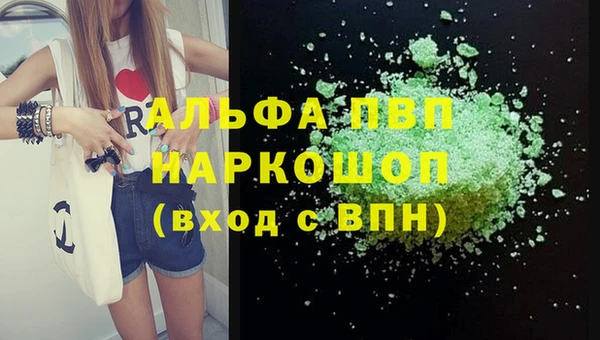 индика Арсеньев