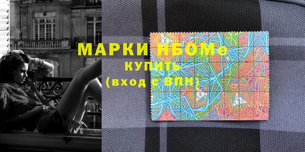 индика Арсеньев