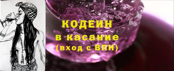 индика Арсеньев