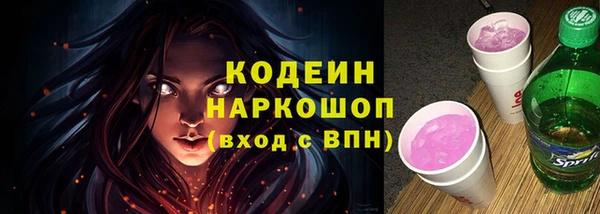 индика Арсеньев