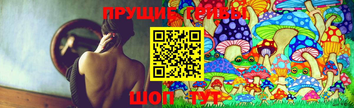 закладка  Вход с VPN  Зима  Псилоцибиновые грибы MAGIC MUSHROOMS 